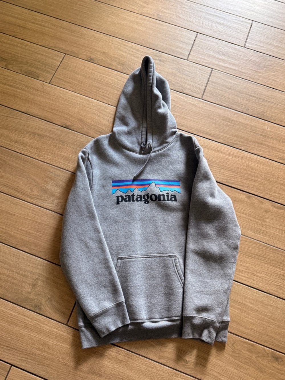 Patagonia Gray Hoodie with Multicolor Mountain Logo